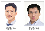 빠른 흡수·우수한 골재생, 혁신적 인공 골이식재 개발