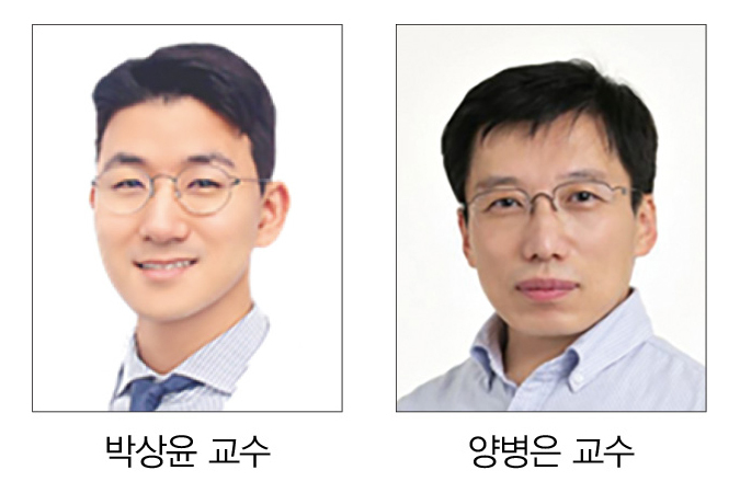 빠른 흡수·우수한 골재생, 혁신적 인공 골이식재 개발